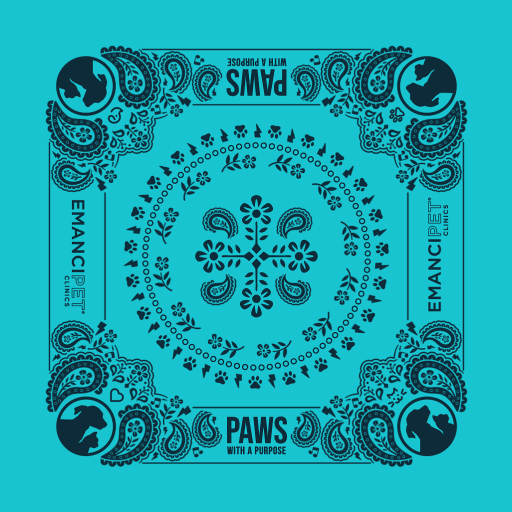 PAWS Bandana